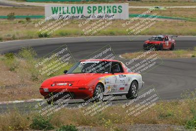 media/May-04-2024-Lucky Dog Racing (Sat) [[d39539b3f3]]/Race Pics/1230pm (Turn 4a)/